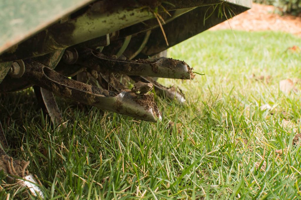 Aeration & Seeding - Dreamlawns