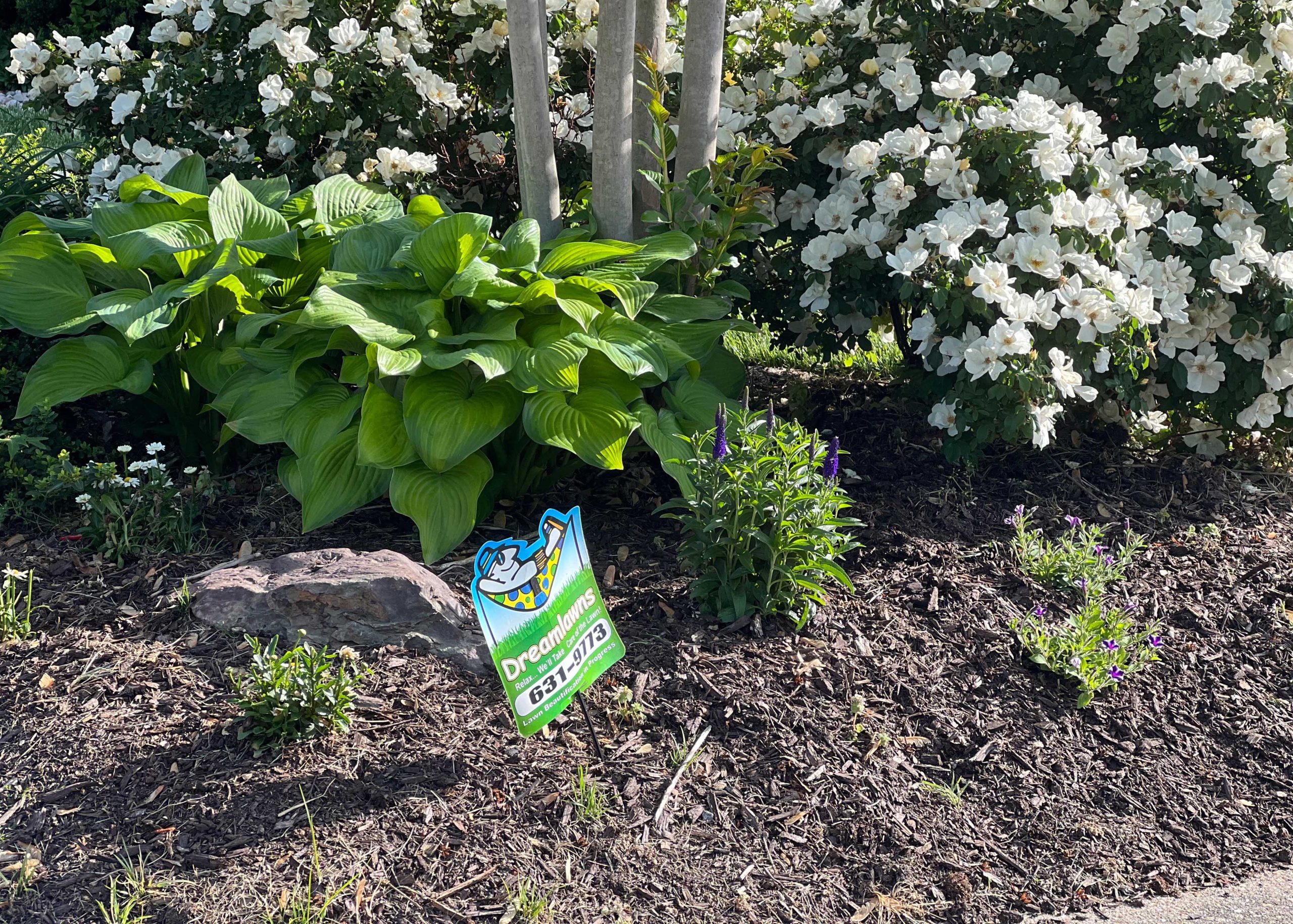 We are very happy with our lawn care team!