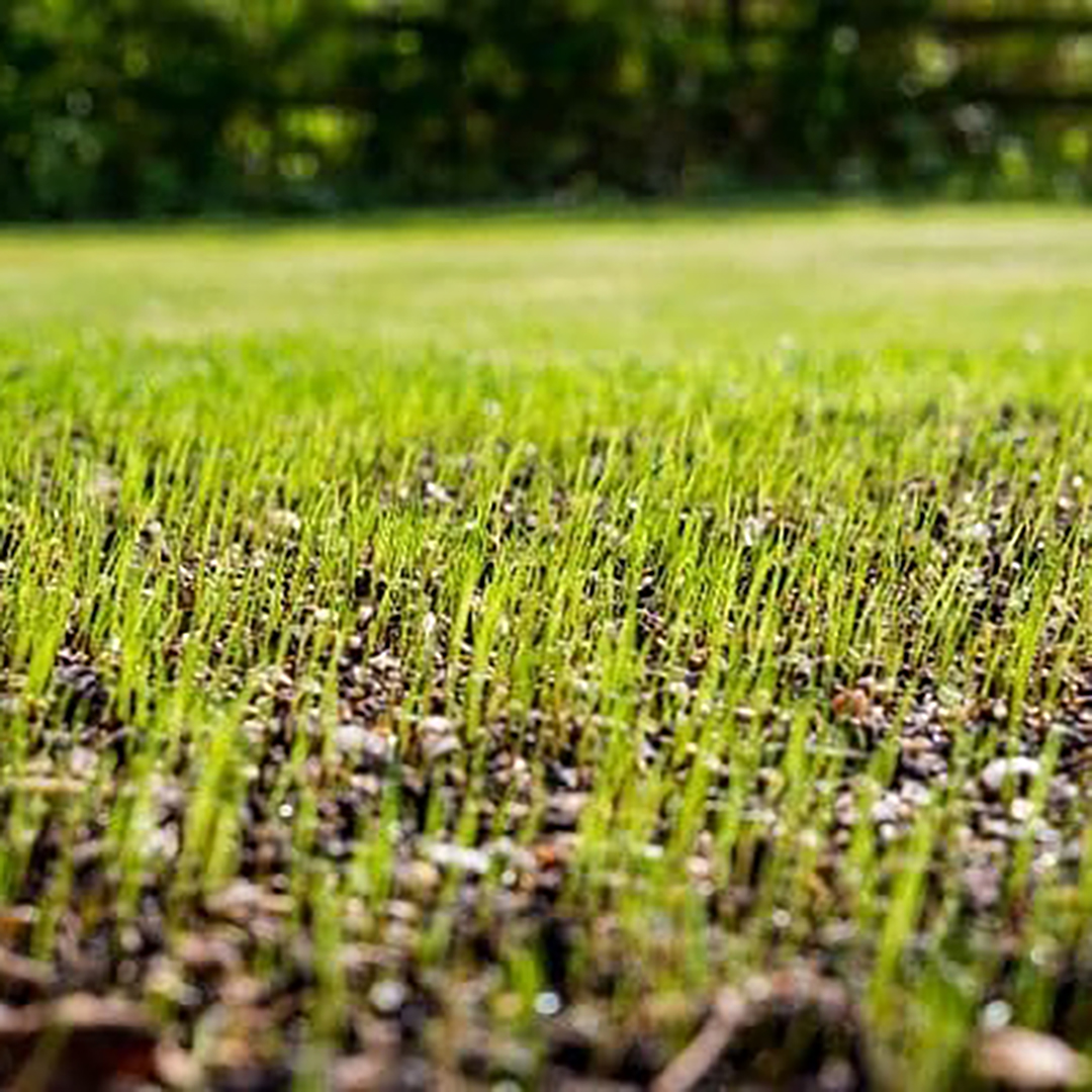 xr:d:DAFqOkAy6n4:26,j:2721699474751140806,t:23081116