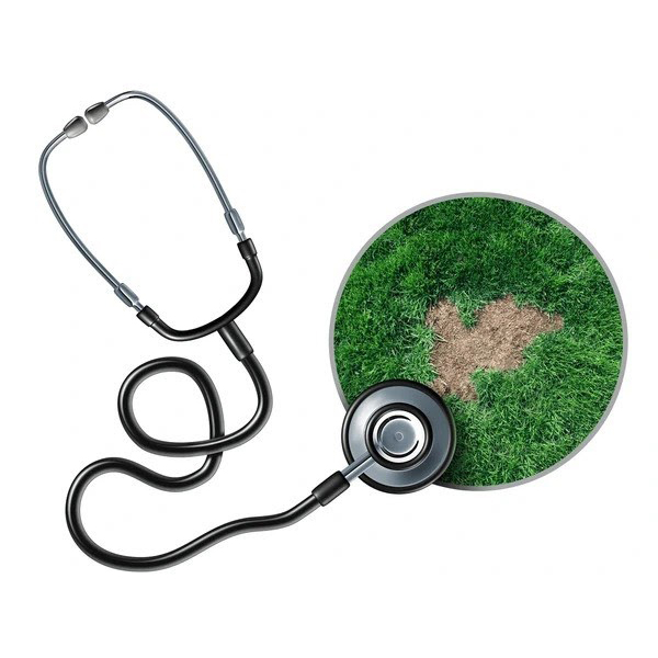 Lawn Doctor