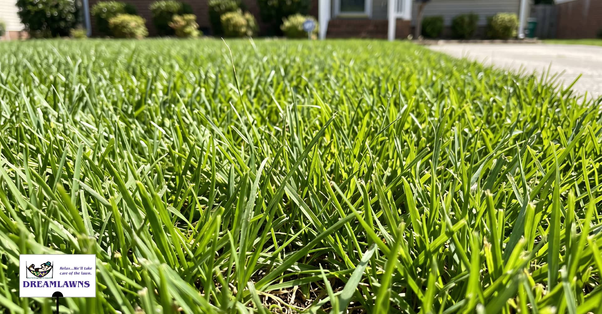 Ryegrass Explained V1_LinkedIn Post